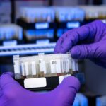 Ten people who helped shape science in 2024