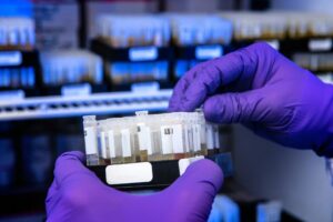 Ten people who helped shape science in 2024